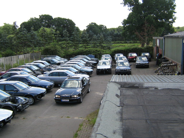 Bild 006